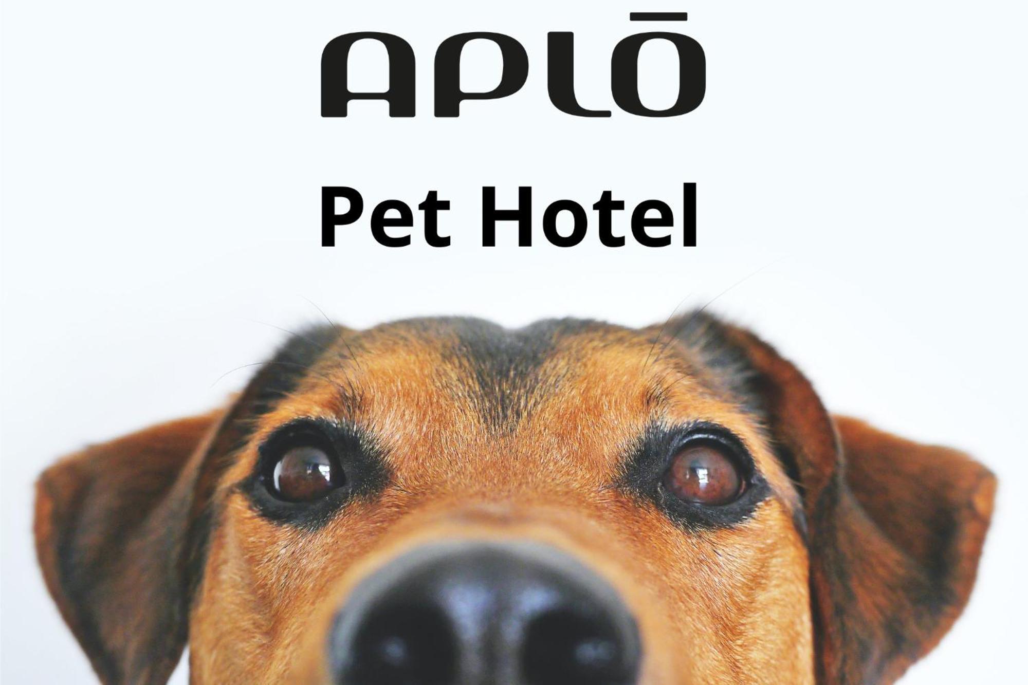 Hotel Aplo - Breakfast Experience تّشيرفييا المظهر الخارجي الصورة